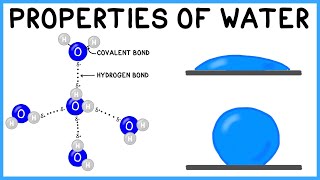 Properties of Water [upl. by Lertnom]