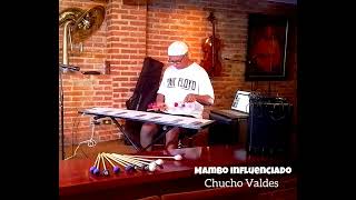 Mambo influenciado Vibrafono Mallet Pearls Alfredo Naranjo [upl. by Werna]