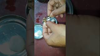 Niramish kochuri shorts recipe youtubeshorts minikitchen ytshorts yt kochuri [upl. by Eelidnarb]