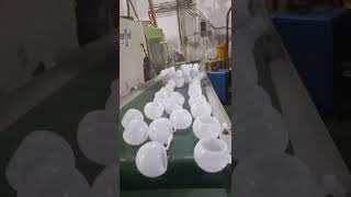 Production lines for bulbs [upl. by Veradis]