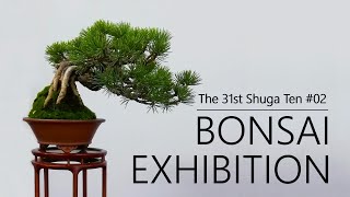 Small and Infinite Shohin Bonsai World｜SHOHIN BONSAI EXHIBITION｜The 31st Shugaten [upl. by Goren]