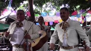 Mariachi Tlaquepaque â€“ Guadalajara Mexico [upl. by Rayna]