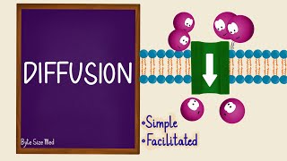 Diffusion  Passive Transport  Transport Across the Cell Membrane  Cell Physiology [upl. by Scottie697]