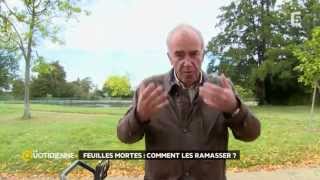 Que faire des feuilles mortes [upl. by Assed]