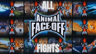 Animal Face Off 2004  All Fights [upl. by Stegman281]