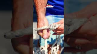 No Tangle Anchor Line The Daisy Chain Full Video in Description [upl. by Freberg]