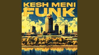 KESH MENI FUNK Slowed [upl. by Ithaman]