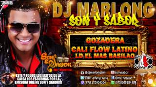 Gozadera Cali Flow Latino Ft LD el mas Basilao DJ Marlong Son y Sabor 2015 [upl. by Notle186]