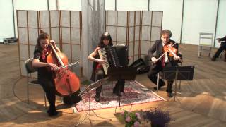 Stahlhammer Klezmer Classic Trio Happy Nigun trad klezmer [upl. by Ecidna]