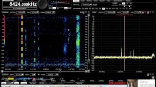 8424 Khz CW SVO Beacon [upl. by Notsnorb240]