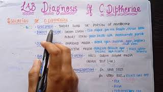 Corynebacterium diphtheriae Morphology Pathogenesis Toxins Clinical features lab Diagnosis Tt [upl. by Nyltak591]