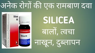 SILICEA Homeopathic medicine uses in hindi Silicea 30 200 [upl. by Aihsel686]