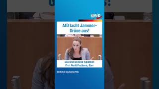 AfD lacht JammerGrüne aus afd ltnrw [upl. by Jemmy23]