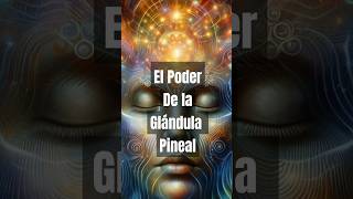 Glándula pineal despertar espiritual tercerojo espiritualidad glándulapineal ajna horus [upl. by Gothar]