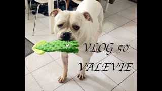 Tricot VLOG 50 ouf me revoilà Tricot pull Heim fini Mal West TEMU test colorectal du 🐔à l’🫏 😅 [upl. by Adnuahs852]