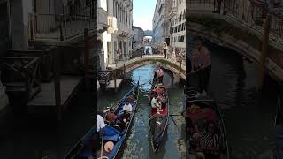 Venice a floating city of hundreds of bridges gondolas palaces and art Rio canonica Palazzo [upl. by Moffat]