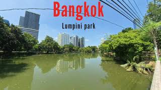 Lumpini park Novembre 2024 [upl. by Enrev]