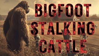 Bigfoot Stalking Cattle [upl. by Nennek824]