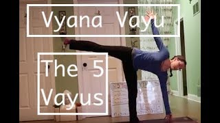 The 5 Vayus 5 VYANA VAYU Practice LauraGyoga [upl. by Ajat]