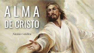 ALMA DE CRISTO ✝️ Canción con Letra ✝️ Nación Católica [upl. by Notyarb]