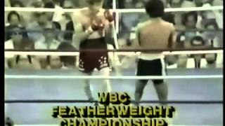 Salvador Sanchez Vs Danny Lopez II 1980 Round 1 [upl. by Alaikim]