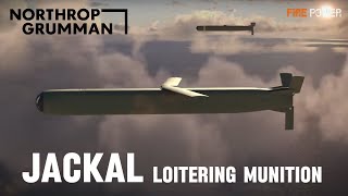 Northrop Grumman Unveiled New Details About its Jackal Loitering Munition [upl. by Polard968]