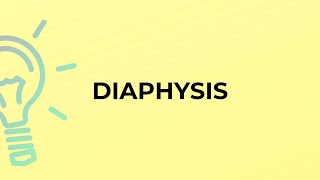 What is the meaning of the word DIAPHYSIS [upl. by Beedon]