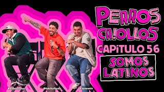 PERROS CRIOLLOS  SOMOS LATINOS CAP 56 [upl. by Nayk]