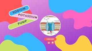 Sodium Potassium Pump in bioinorganic chemistry chemistry [upl. by Podvin]