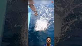 fish fishingvideo fishinglife thanksforwatching [upl. by Yared]