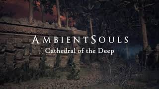 Ambient Souls  Cathedral of the Deep  One Hour of Dark Souls Ambience and Atmosphere [upl. by Norvan507]