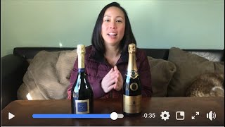 Why is Champagne Fizzy The Basics of Winemaking In Champagne [upl. by Eerdua]