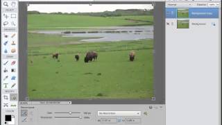 Photoshop Elements 12 Training Tutorial  How to Recompose a Photo Using Recompose [upl. by Dorice]