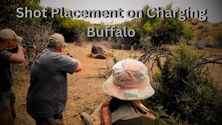 Shot Placement on Charging Buffalo [upl. by Rosenbaum564]