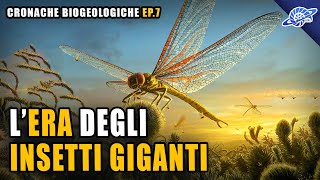 LEra degli Insetti Giganti  Carbonifero  Cronache Biogeologiche Ep 7 [upl. by Nal739]