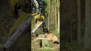 Logging Machine Unleashing the Power of Fully Automated Wood Felling Machinery [upl. by Obadias]