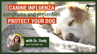 Canine InfluenzaSymptoms Prevention and Vaccination [upl. by Skye]