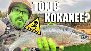 Toxic Kokanee Mercury and Other Contaminants in Kokanee [upl. by Anelrihs]