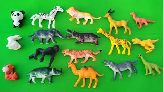 Safari Adventure Playset Animals Toys Video for kids for preschool cow deer lion panda rabbit [upl. by Arytahs57]