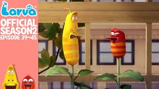 LARVA Season 1 Episode 320  470 Best Cartoons 20224  Comics  Hilarious Cartoon Compilation [upl. by Sakmar42]