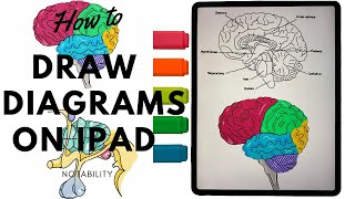 How to draw diagrams on iPad  digital note taking on iPad  Notability [upl. by Lewan]