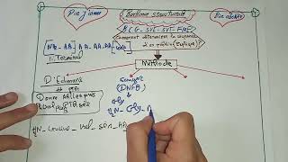 🙇 biochimie structurale  détermination de la séquence dun peptide [upl. by Keviv]