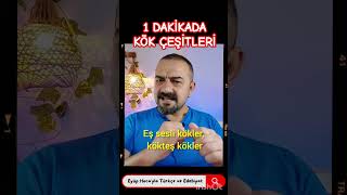 1 DAKİKADA KÖK ÇEŞİTLERİ [upl. by Jannel]