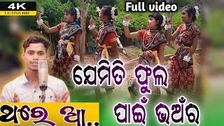 jemiti phula pain bhanra song l Thare Aa Full videos l singer Guru Naman  bbabluvlogs4717 [upl. by Hsreh62]