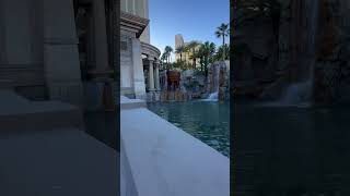 Mandalay Bay Hotel lasvegas shorts vacation [upl. by Giff]