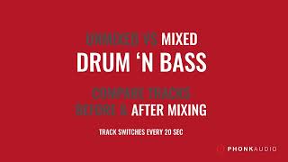 Unmixed VS Mixed Drum n Bass DNB  CryonicPax  Hold Me Before amp After Mixing [upl. by Dlareme867]