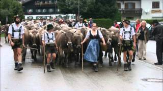 d Wirtin vom Metzebearg  Jodel Lied  Polka  Allgäu Volksmusik  steirische Harmonika [upl. by Mian]