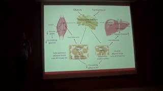 Estres del Retículo Endo Metabolismo de Lipidos y Efecto de Nutrientes Dr Iván Torres Video 1 [upl. by Savart966]