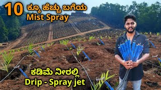 ಅಡಿಕೆ ತೆಂಗಿನ ತೋಟಕ್ಕೆ Spray jet  Mini sprayer ಬಗ್ಗೆ ಸಂಪೂರ್ಣ ಮಾಹಿತಿ ನೀರು ಕಡಿಮೆ ಸಾಕು [upl. by Whelan]