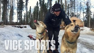 Meet IditarodWinning Sled Dogs [upl. by Garcia]